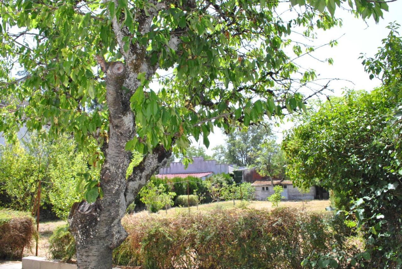 Maison 6 personnes - grand jardin arboré Villa Noyers-sur-Cher Exterior foto